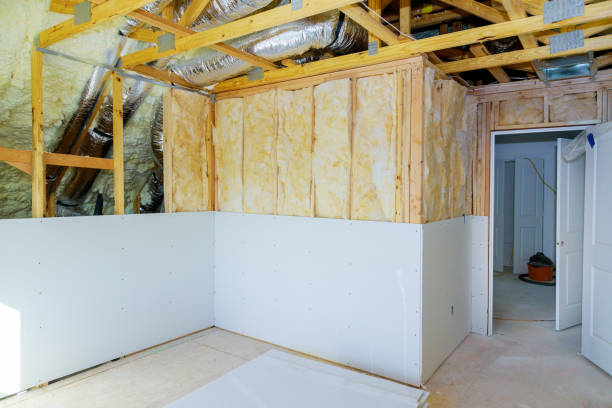 Best Eco-Friendly Insulation in Philadelphia, PA